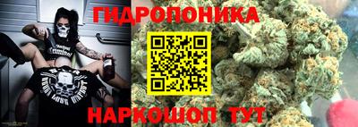 ГАЛЛЮЦИНОГЕННЫЕ ГРИБЫ Обь