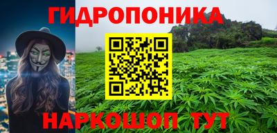 ГАЛЛЮЦИНОГЕННЫЕ ГРИБЫ Обь