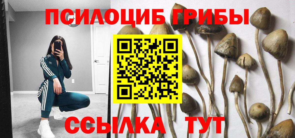 Галлюциногенные грибы Psilocybe Дюртюли